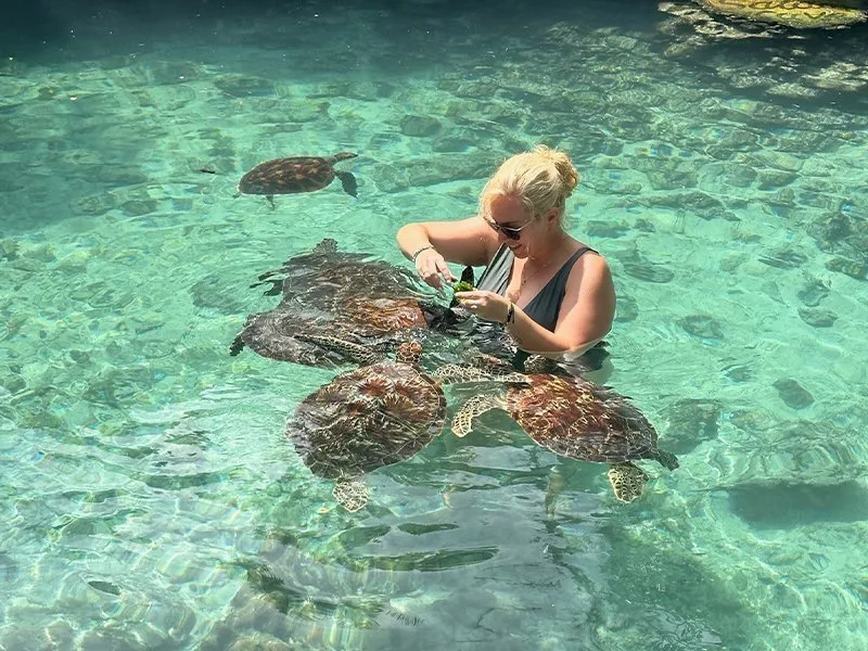 een vrouw die schildpadden voed tijdens een bezoek aan de schildpaddengrot in kizimkazi