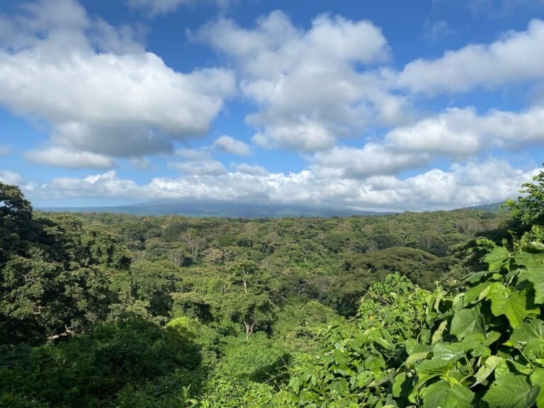 Uitzicht tijdens beklimmen Ngorongore Krater
