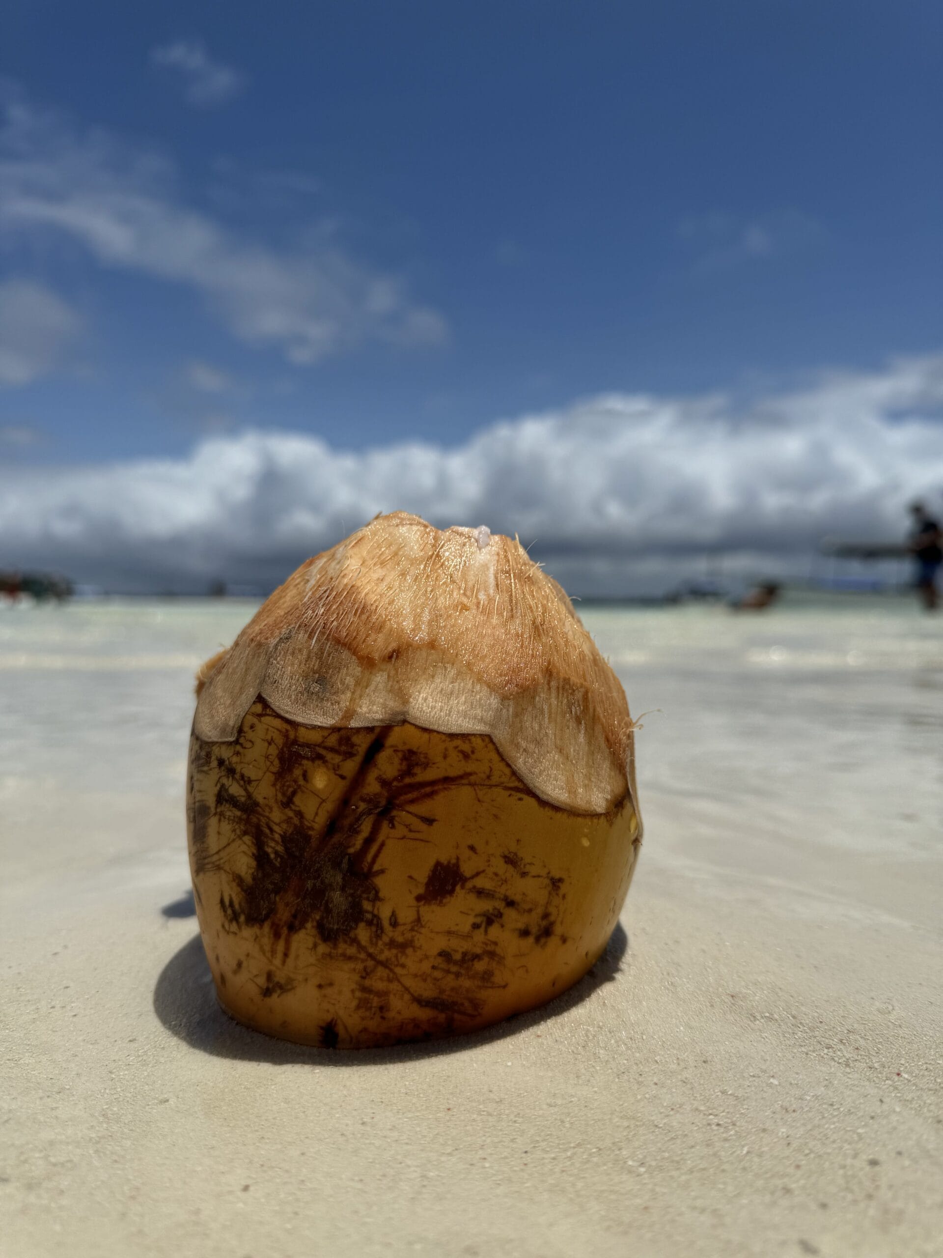 Verse kokosnoot aan het strand