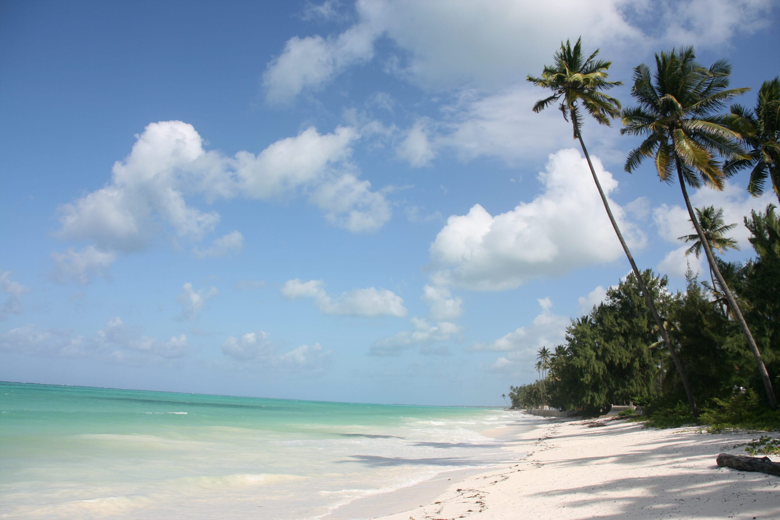 bwejuu beach Zanzibar