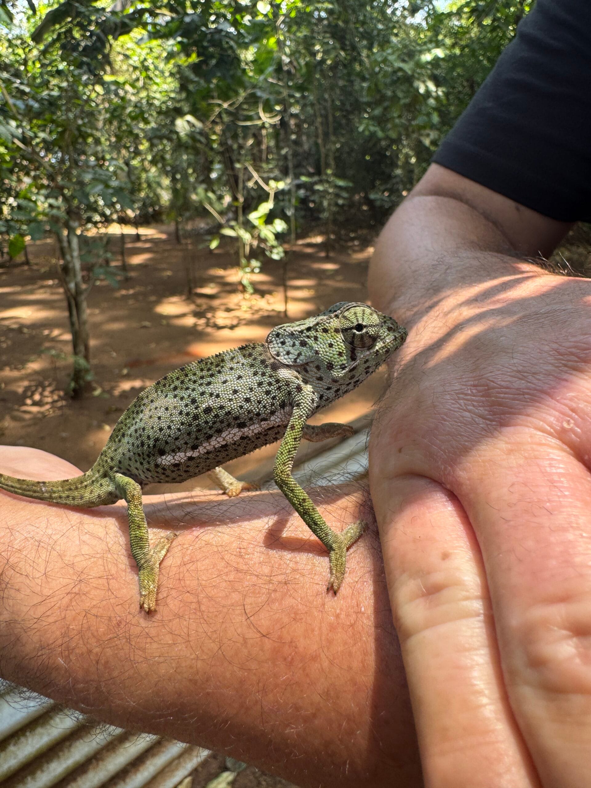 vlindertuin zanzibar