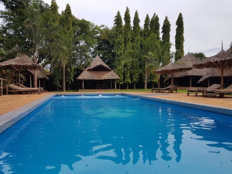 zwembad honey badger lodge