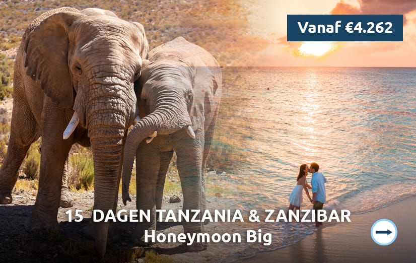 placeholder honeymoon big